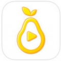 雪梨pear播放器官网最新版app V4.1.51.0703