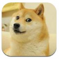 sodog绅士常来官方app免费版下载 v1.0.9