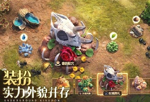 小小蚁国内置菜单版 v1.86.0最新版