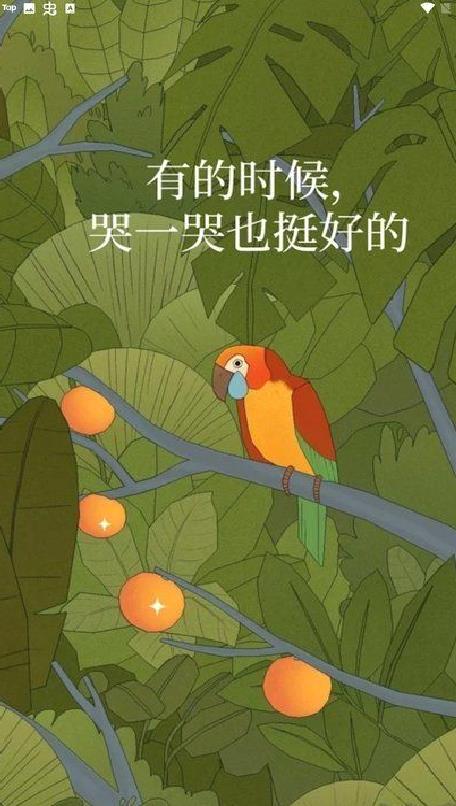 孤独的鸟儿中文版 v4.0安卓版