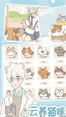 遇见你的猫游戏最新版 v1.1手机版