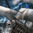 海盗死亡瘟疫2024版 v2.9.1安卓版