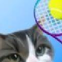 猫咪网球手游 v1.0