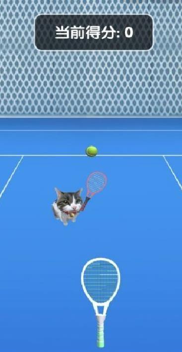 猫咪网球手游 v1.0