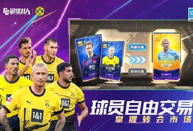 最佳11人官方版 v.5.0.137单机版