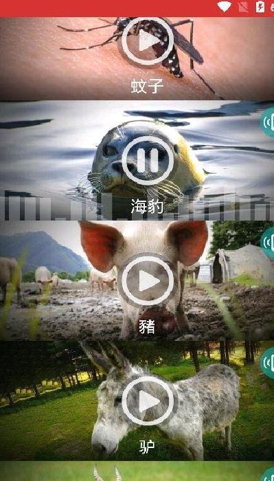 动物手机铃声纯净版 v16.0