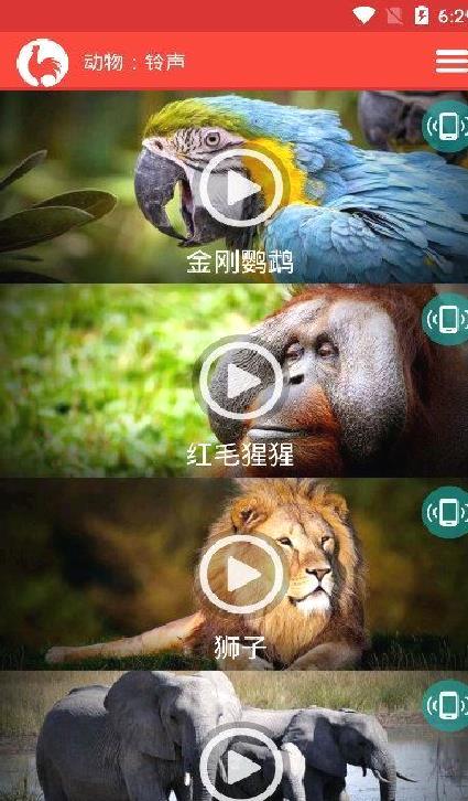 动物手机铃声纯净版 v16.0