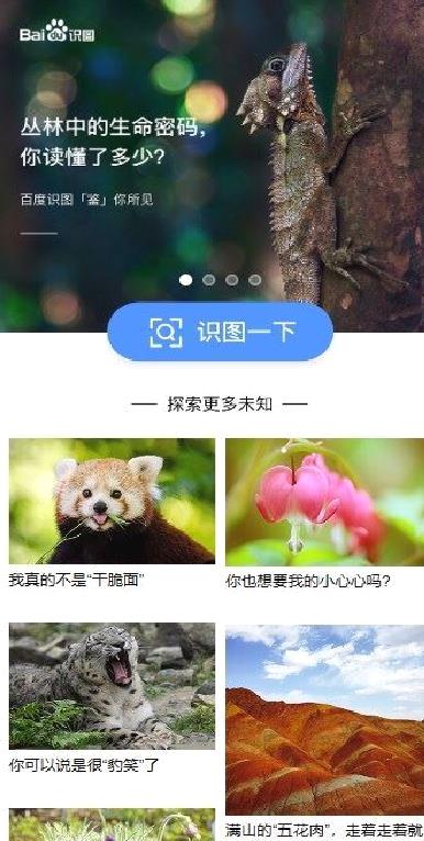 百度识图app安卓版 v13.37.0.11