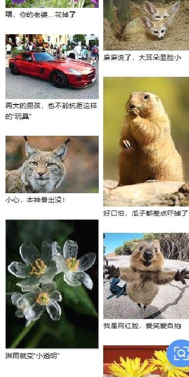 百度识图app安卓版 v13.37.0.11