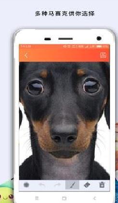 马赛克APP 免费版v3.0.13