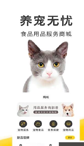 买只宠物 v4.4.0安卓版