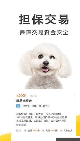 买只宠物 v4.4.0安卓版