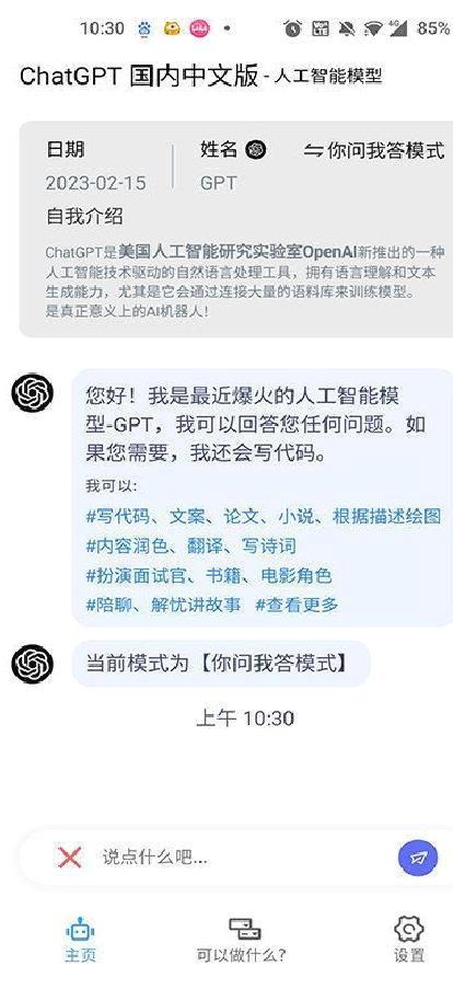 ChatGPT中文版 v1.1.3